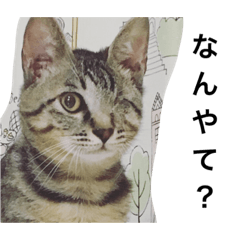 [LINEスタンプ] 我が家の家族。