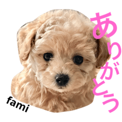 [LINEスタンプ] よく使う言葉〜ファミちゃん日常会話編〜