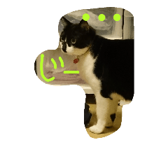 [LINEスタンプ] 猫のぼっちゃん！