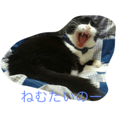 [LINEスタンプ] アトムにゃん