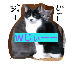 [LINEスタンプ] グレさん です