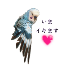 [LINEスタンプ] ちんたさんのスタンプ