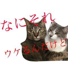 [LINEスタンプ] ねこねこわおわお3