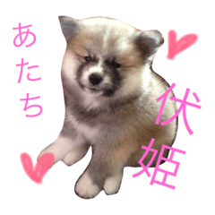 [LINEスタンプ] ふーしゃんは姫なのだ