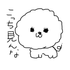 [LINEスタンプ] ビションフリーゼの戯言