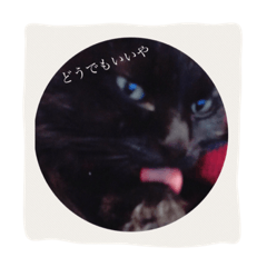 [LINEスタンプ] でか猫2