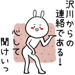 [LINEスタンプ] 沢川専用の面白なまえスタンプ