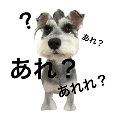 [LINEスタンプ] ずくさんスタンプ2