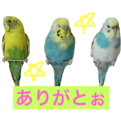 [LINEスタンプ] キュートなペット