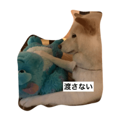 [LINEスタンプ] 我が家の犬と猫のつぶやき パート2