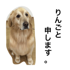 [LINEスタンプ] りんご③の画像（メイン）