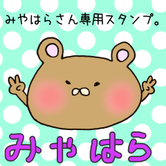 [LINEスタンプ] みやはらさん専用スタンプの画像（メイン）