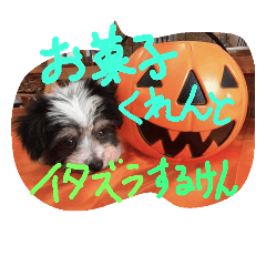 [LINEスタンプ] Hakata dog*