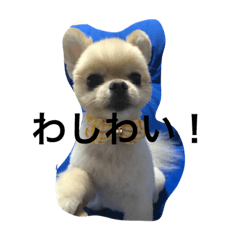 [LINEスタンプ] ジェン