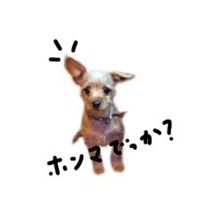 [LINEスタンプ] Umekonokimochi2