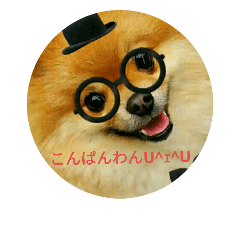 [LINEスタンプ] 可愛い犬（ご挨拶）