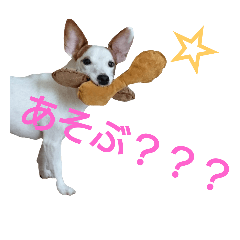 [LINEスタンプ] あんちゃんの日々