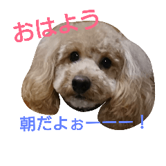 [LINEスタンプ] @ron