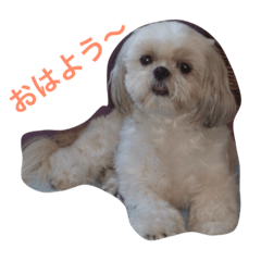 [LINEスタンプ] ラブリー リン 3