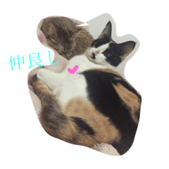 [LINEスタンプ] 姫猫-2