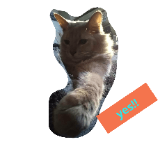 [LINEスタンプ] yes！reo！
