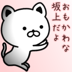 [LINEスタンプ] 坂上さん専用面白可愛い名前スタンプ