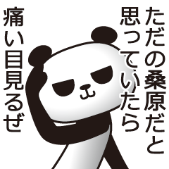 [LINEスタンプ] 桑原パンダ