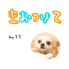 [LINEスタンプ] 世界一のテミンくん2