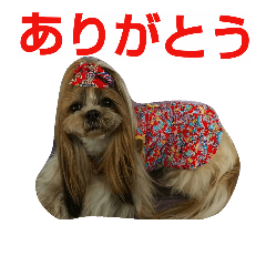 [LINEスタンプ] CREAdog