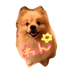 [LINEスタンプ] わんわんがるる