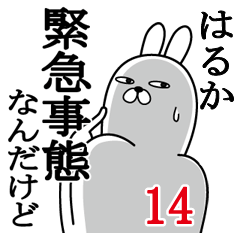 [LINEスタンプ] はるかが使う面白名前スタンプ14