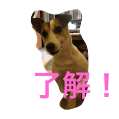 [LINEスタンプ] JRT AL＆JET