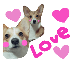 [LINEスタンプ] はなひまスタンプ