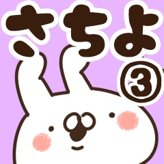 [LINEスタンプ] 【さちよ】専用3の画像（メイン）