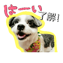 [LINEスタンプ] maro-maron