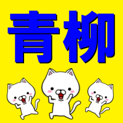 [LINEスタンプ] 超★青柳(あおやぎ・あおやなぎ・あおぎ)の画像（メイン）