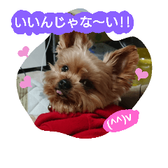 [LINEスタンプ] Kswaii dog5