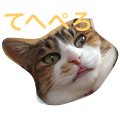 [LINEスタンプ] やさぐれブー猫