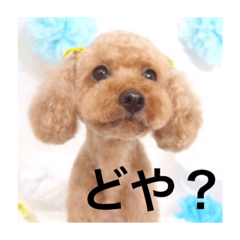 [LINEスタンプ] ウチのwasabiちゃん