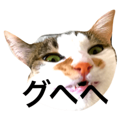 [LINEスタンプ] あんみつむーの日常