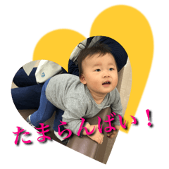 [LINEスタンプ] みなとんちゅスタンプ