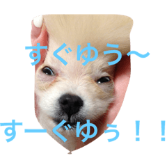 [LINEスタンプ] ジェンちゃん3