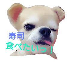 ちろるのすたんぷ。