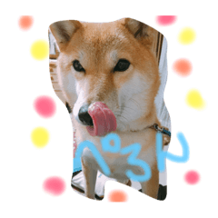 [LINEスタンプ] 柴犬はなやん