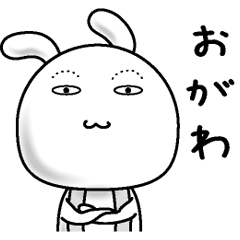 [LINEスタンプ] 【おがわ】すっぴんうさぎ