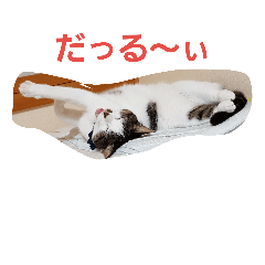 [LINEスタンプ] Mejyu