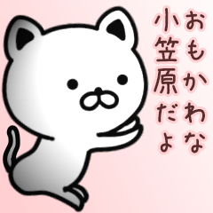 [LINEスタンプ] 小笠原さん専用面白可愛い名前スタンプ