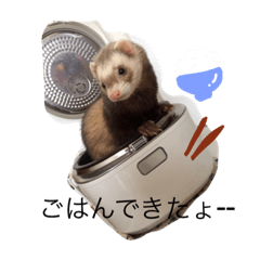 [LINEスタンプ] 我が家のアイドル (I LOVE FERRET)