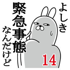 [LINEスタンプ] よしきが使う面白名前スタンプ14