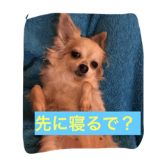 [LINEスタンプ] mimimoca